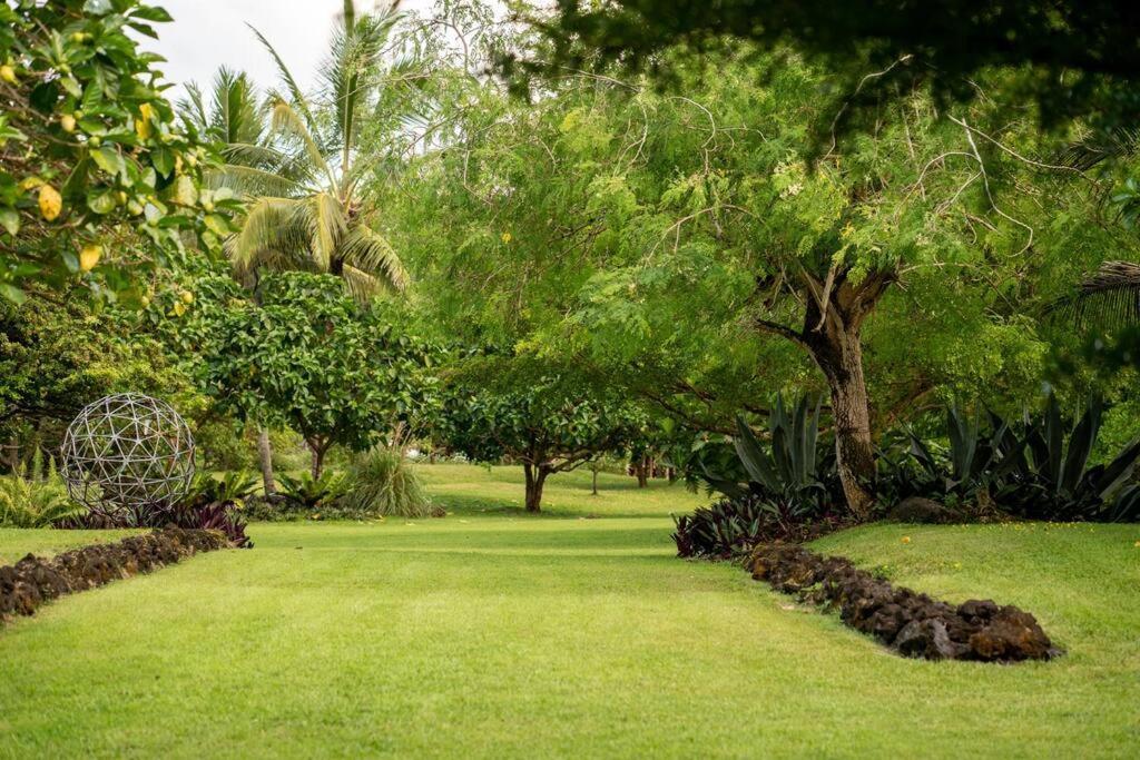 Jungle Haven Ocean Front Eco Villa On Fruit Farm Pahoa Екстер'єр фото