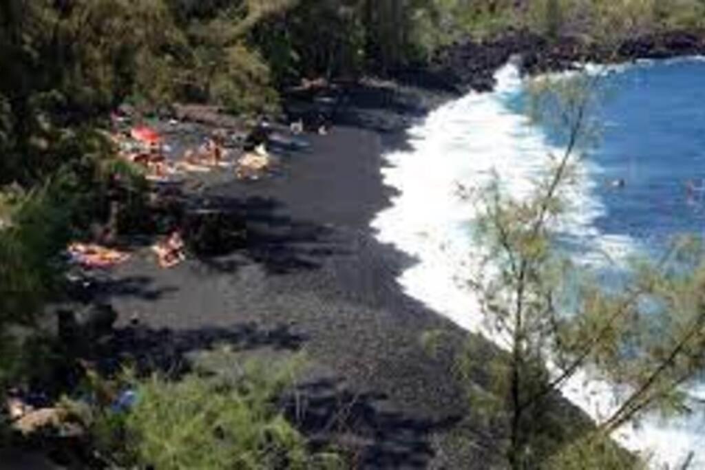 Jungle Haven Ocean Front Eco Villa On Fruit Farm Pahoa Екстер'єр фото