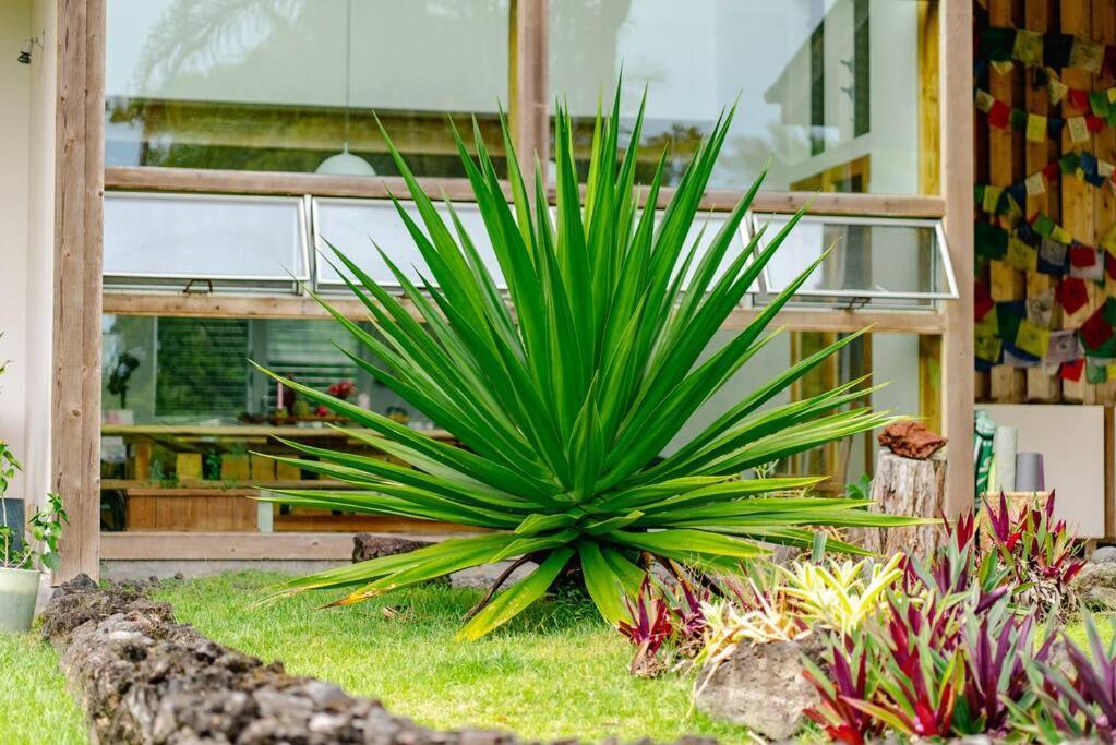 Jungle Haven Ocean Front Eco Villa On Fruit Farm Pahoa Екстер'єр фото
