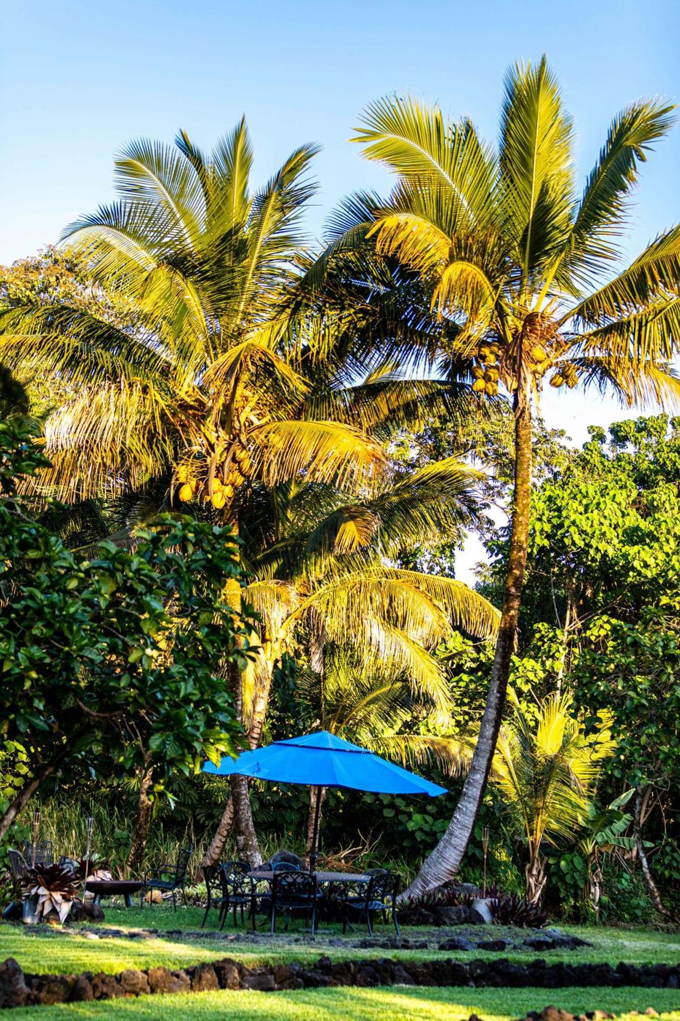Jungle Haven Ocean Front Eco Villa On Fruit Farm Pahoa Екстер'єр фото