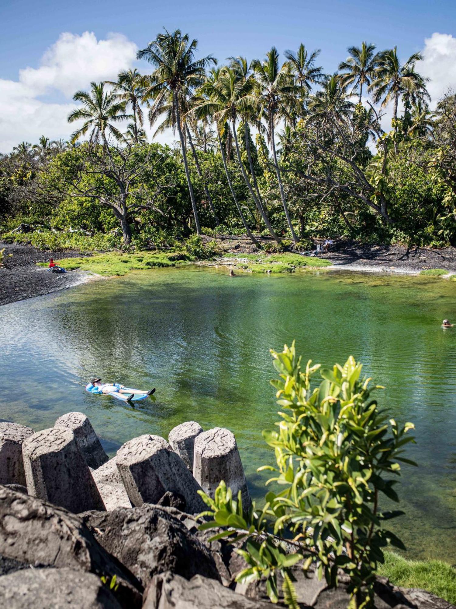 Jungle Haven Ocean Front Eco Villa On Fruit Farm Pahoa Екстер'єр фото