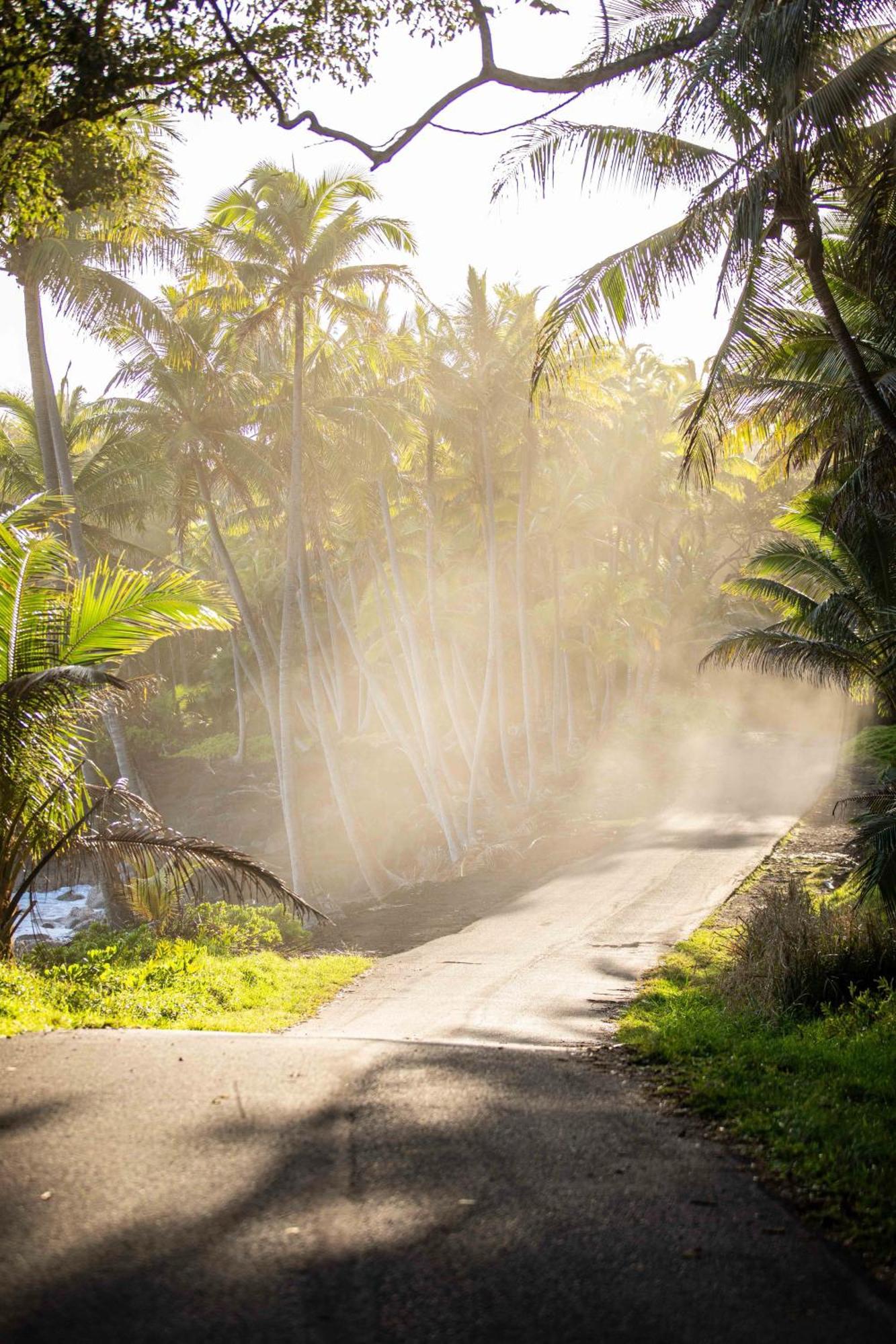 Jungle Haven Ocean Front Eco Villa On Fruit Farm Pahoa Екстер'єр фото